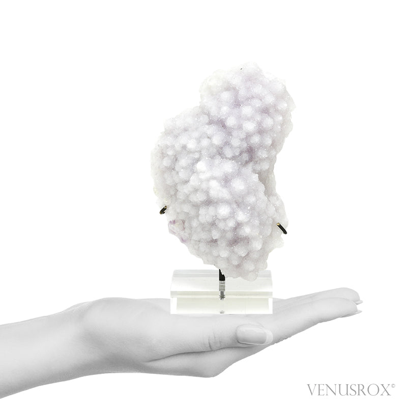 Amethyst with Clear Quartz Druzy Natural Cluster from Mexico mounted on bespoke stand | Venusrox