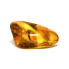Natural Baltic Amber Polished Crystal | Venusrox