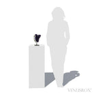 Amethyst with Quartz, Agate & Matrix Part Polished/Part Natural Cluster from Uruguay | Venusrox