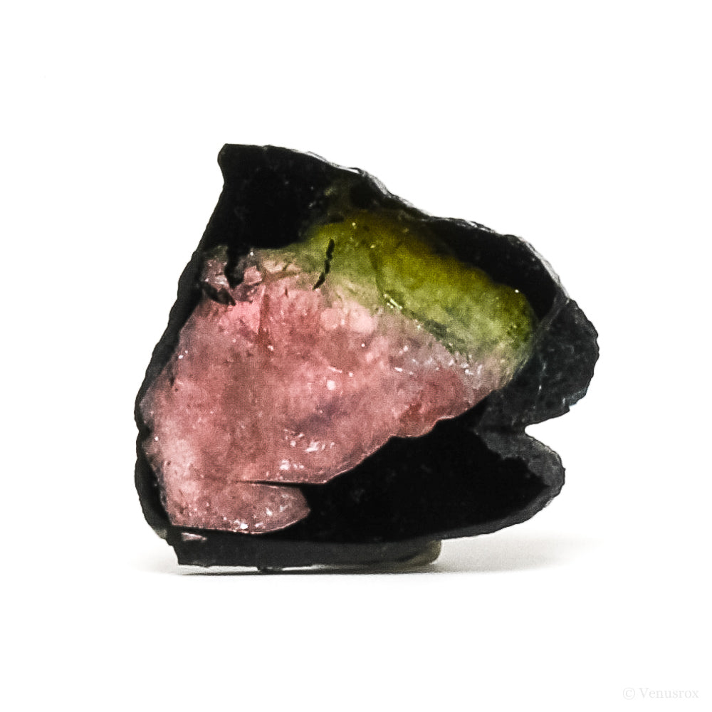 Blue, Pink & Green Tourmaline Part Polished/Part Natural Crystal from Namibia | Venusrox