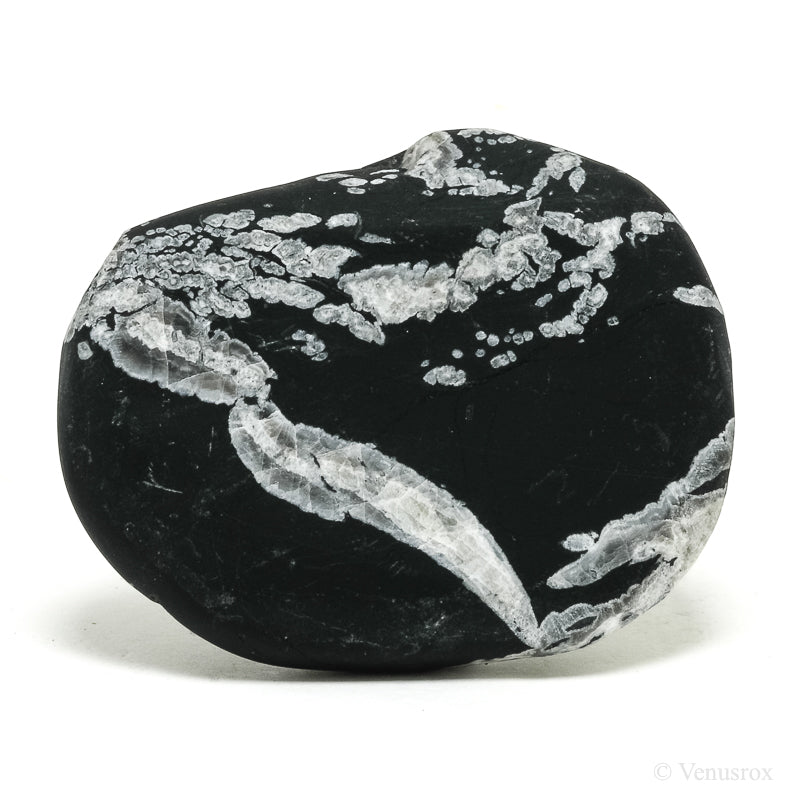 Chrysanthemum Stone from China | Venusrox