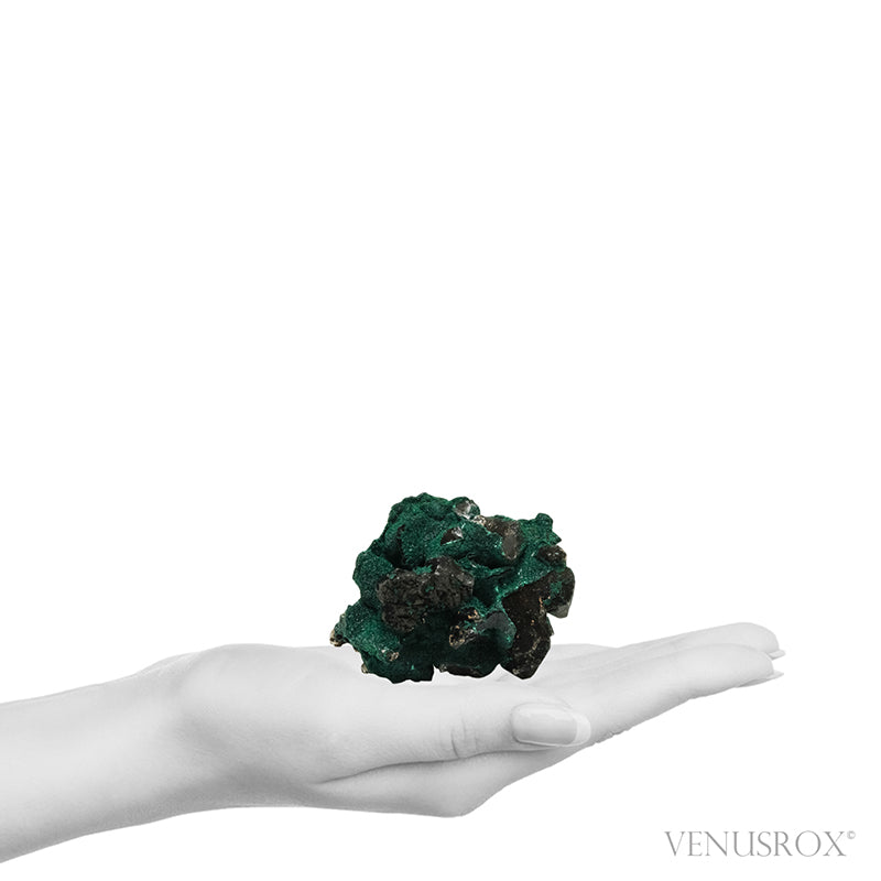 Dioptase with Quartz on Matrix Natural Crystal from Renéville, Kindanba District, Pool Department, Demacratic Republic of the Congo | Venusrox