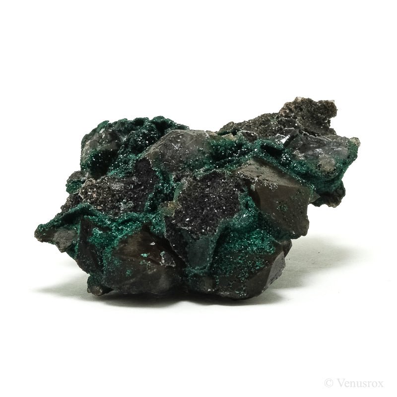 Dioptase with Quartz on Matrix Natural Crystal from Renéville, Kindanba District, Pool Department, Demacratic Republic of the Congo | Venusrox