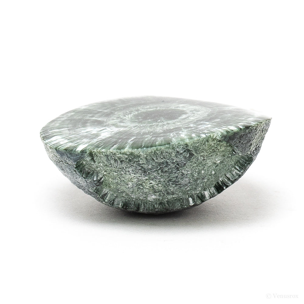 Seraphinite Polished/Natural Crystal from the Korshunovskoye Iron Scary Deposit, Irkutskaya Oblast, Siberia, Russia | Venusrox