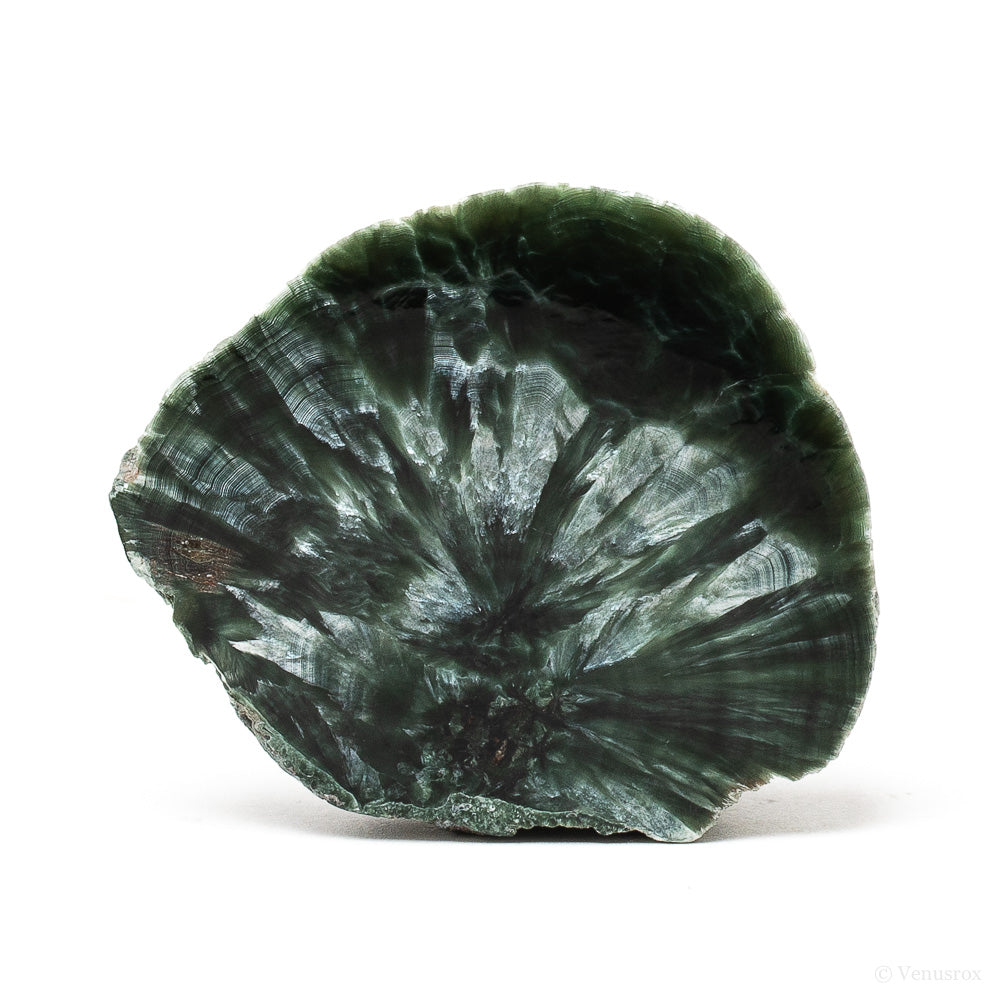Seraphinite Polished/Natural Slice from the Korshunovskoye Iron Scary Deposit, Irkutskaya Oblast, Siberia, Russia | Venusrox