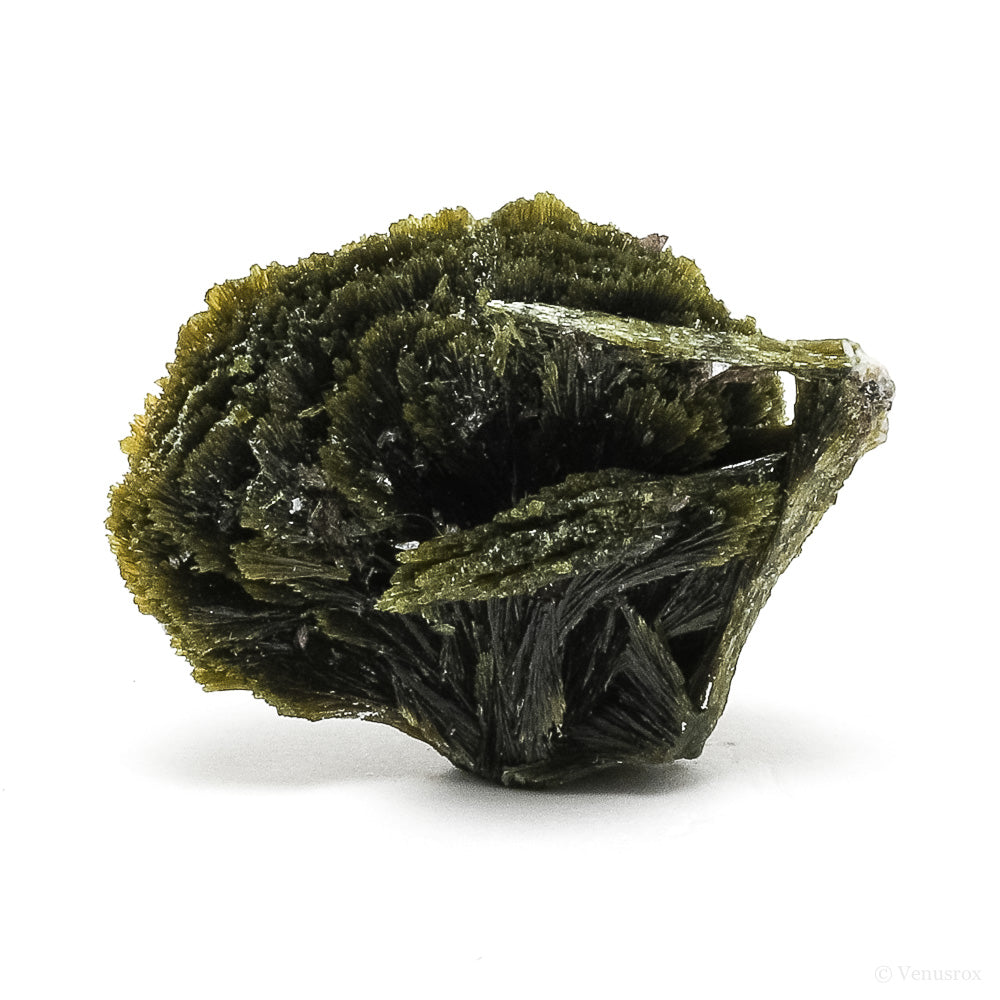 Epidote Natural Crystal from Kharan, Balochistan, Pakistan | Venusrox