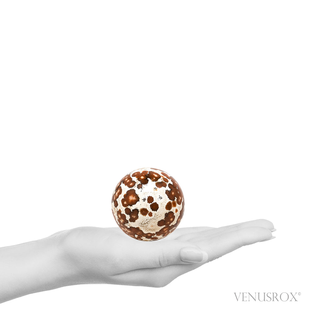 Ocean Jasper Part Polished/Part Natural Sphere from Madagascar | Venusrox