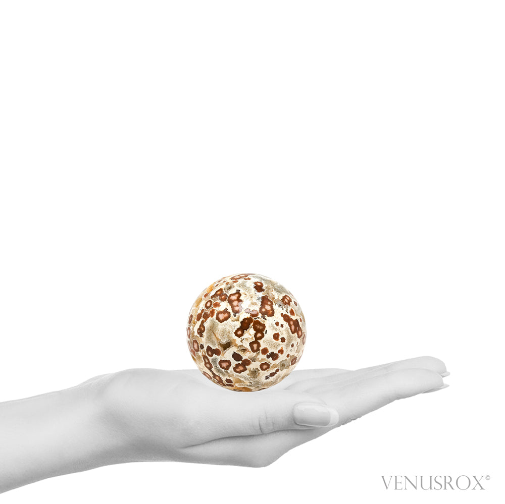 Ocean Jasper Part Polished/Part Natural Sphere from Madagascar | Venusrox