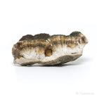 Barite with Marcasite Part Polished/Part Natural Crystal from the Lubin Mine, Silezia, Poland | Venusrox