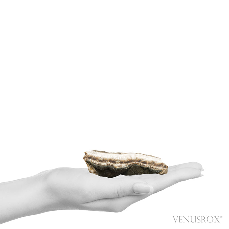 Barite with Marcasite Part Polished/Part Natural Crystal from the Lubin Mine, Silezia, Poland | Venusrox