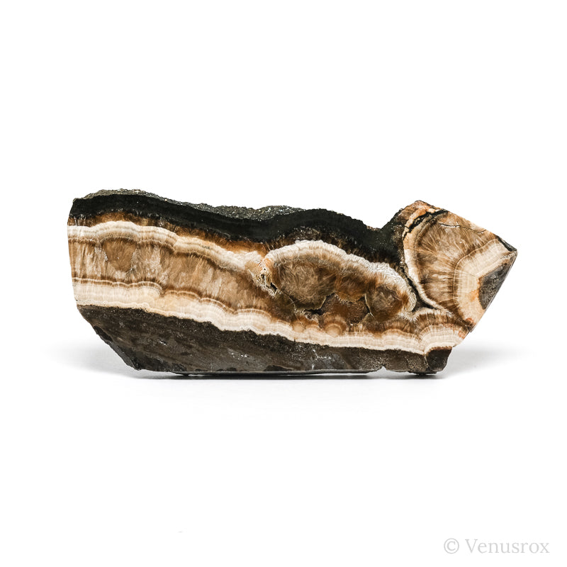 Barite with Marcasite Part Polished/Part Natural Crystal from the Lubin Mine, Silezia, Poland | Venusrox