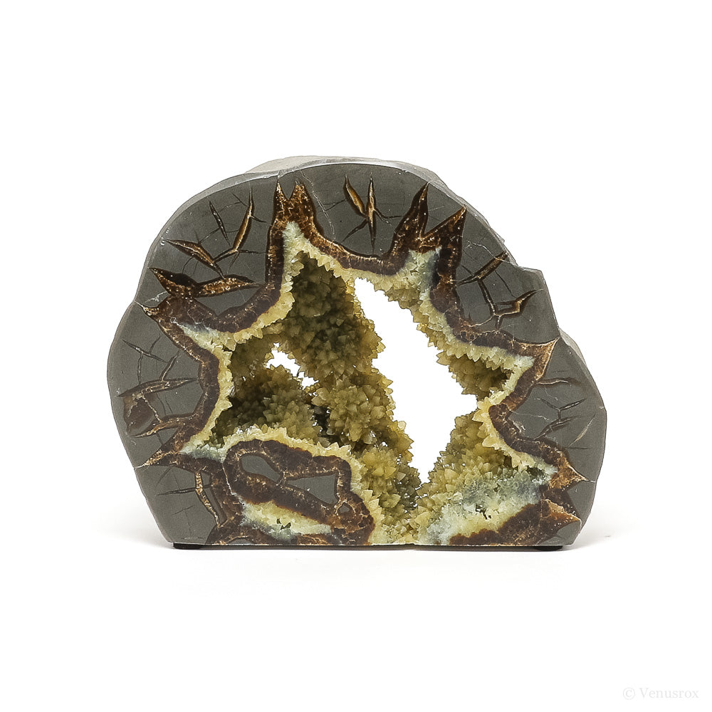 Septarian Geode Part Polished/Part Natural Slice from Utah, USA | Venusrox