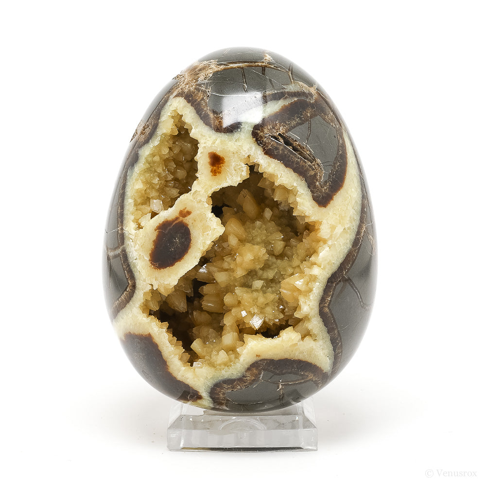 Septarian Geode Egg from Utah, USA | Venusrox