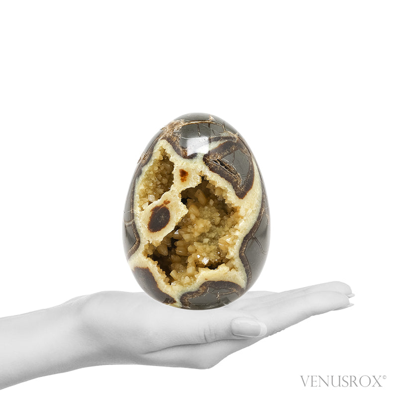 Septarian Geode Egg from Utah, USA | Venusrox
