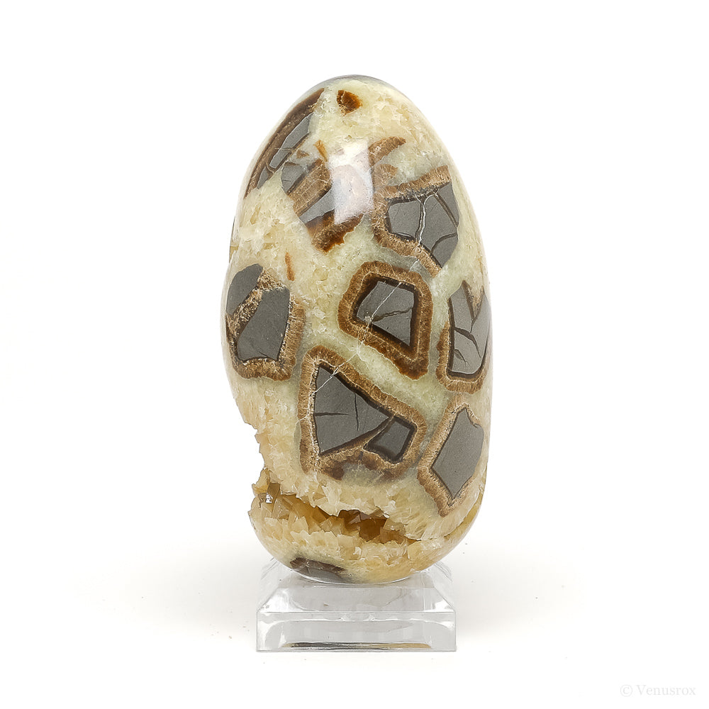 Septarian Geode Egg from Utah, USA | Venusrox