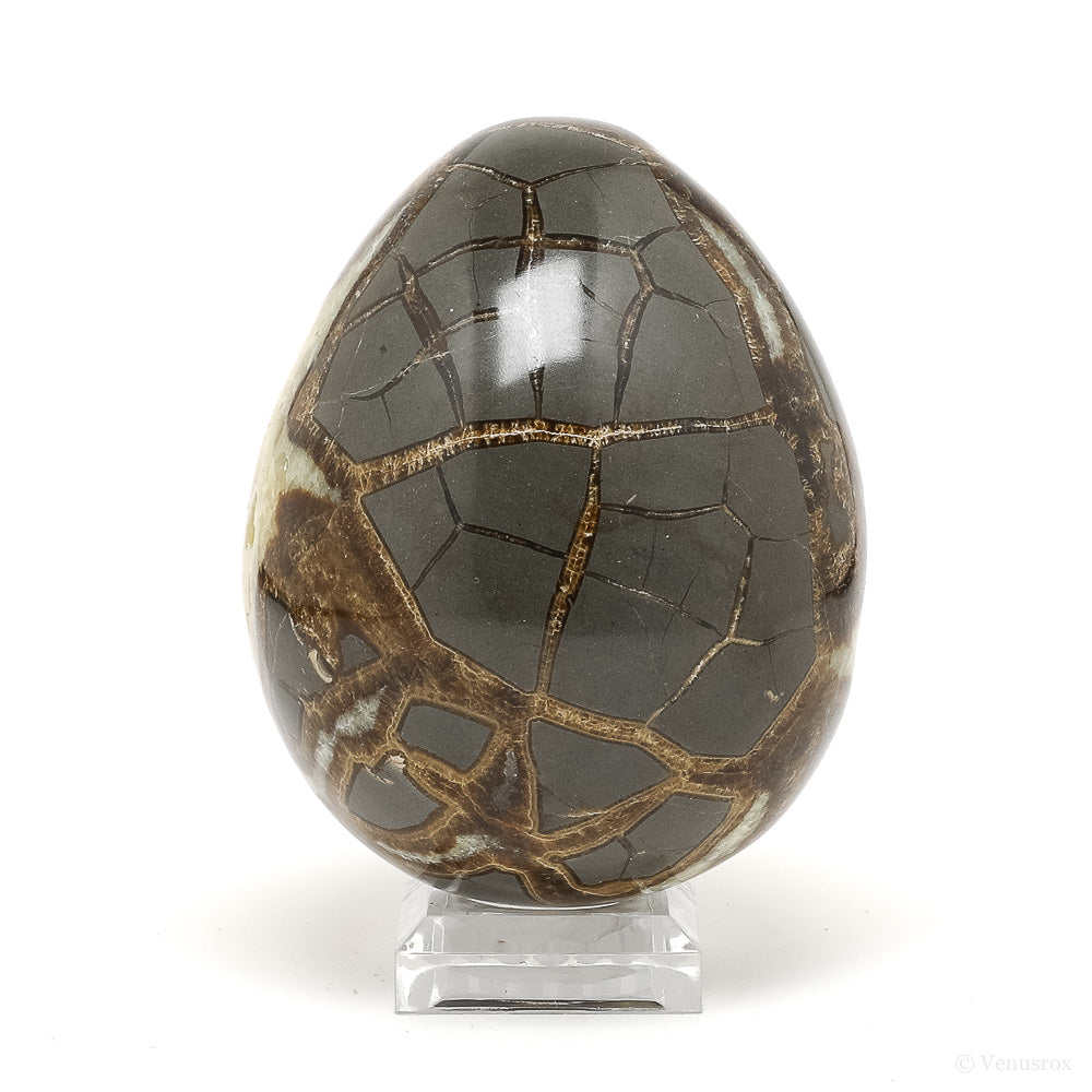 Septarian Geode Egg from Utah, USA | Venusrox