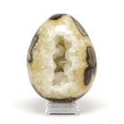 Septarian Geode Egg from Utah, USA | Venusrox