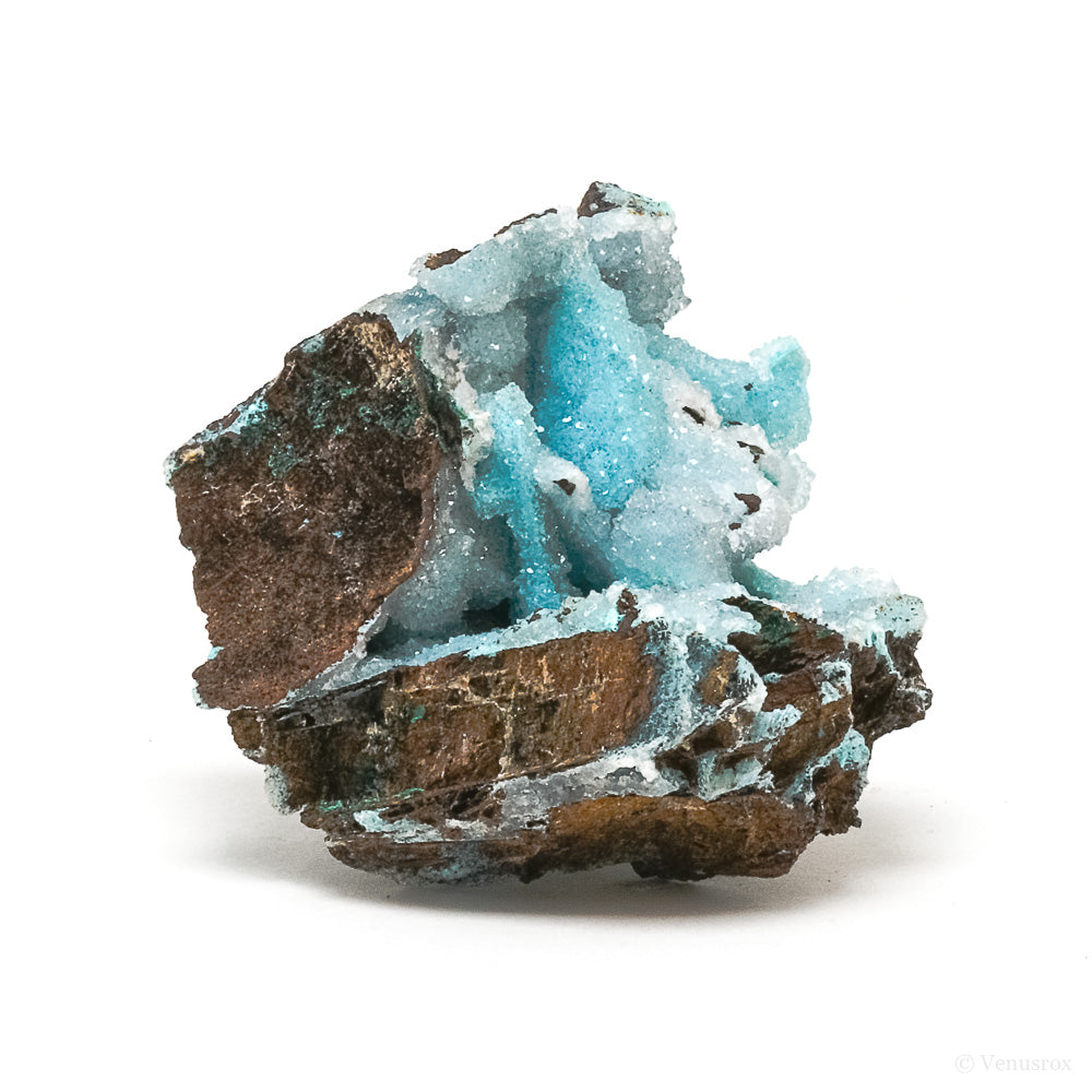 Chrysocolla with Malachite, Clear Quartz & Matrix Natural Crystal from the Tenke-Fungurume Area, Lualaba, Democratic Republic of the Congo | Venusrox