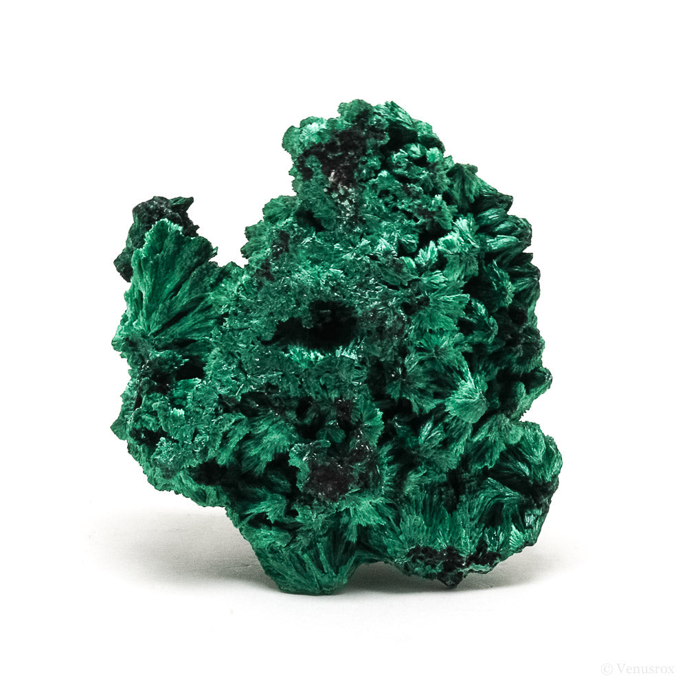 Fibrous Malachite Natural Crystal from the Luishia Mine, Katanga Province, Democratic Republic of Congo | Venusrox