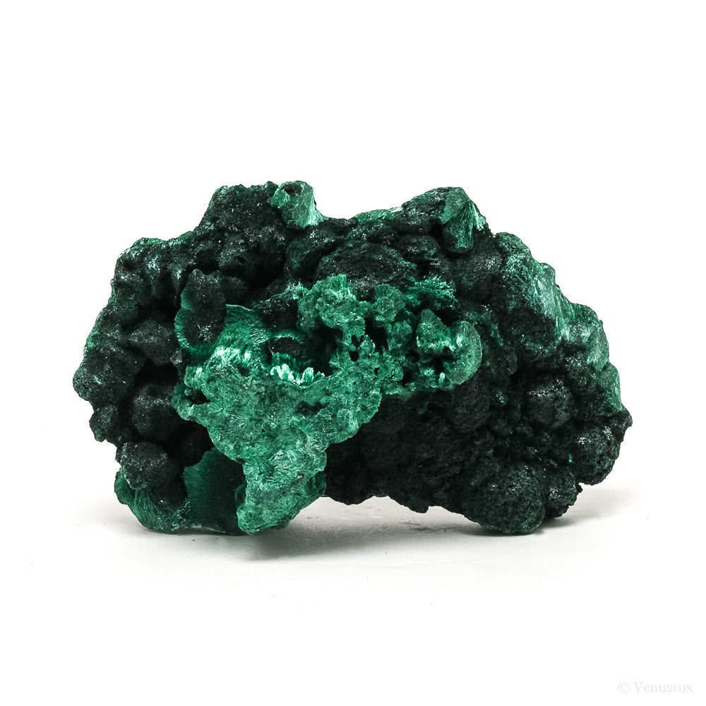 Fibrous Malachite Natural Crystal from the Luishia Mine, Katanga Province, Democratic Republic of Congo | Venusrox