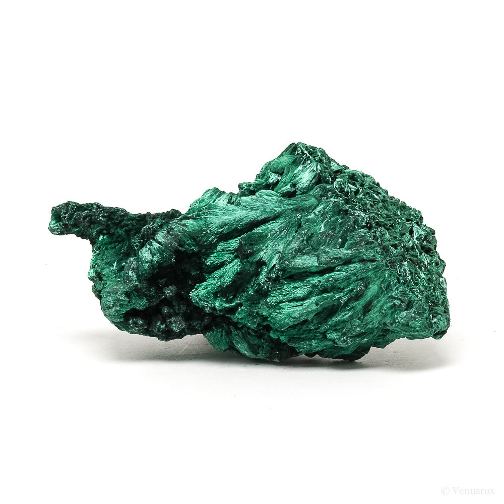 Fibrous Malachite Natural Crystal from the Luishia Mine, Katanga Province, Democratic Republic of Congo | Venusrox