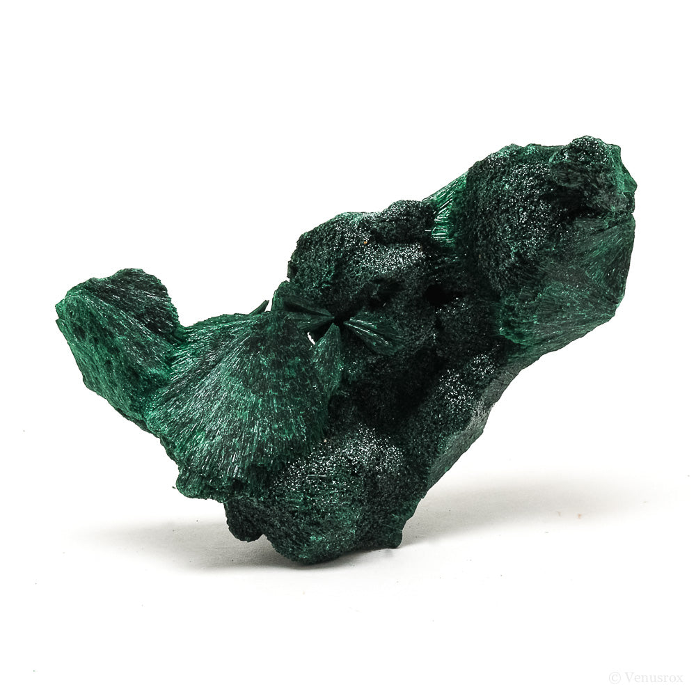 Fibrous Malachite Natural Crystal from the Luishia Mine, Katanga Province, Democratic Republic of Congo | Venusrox