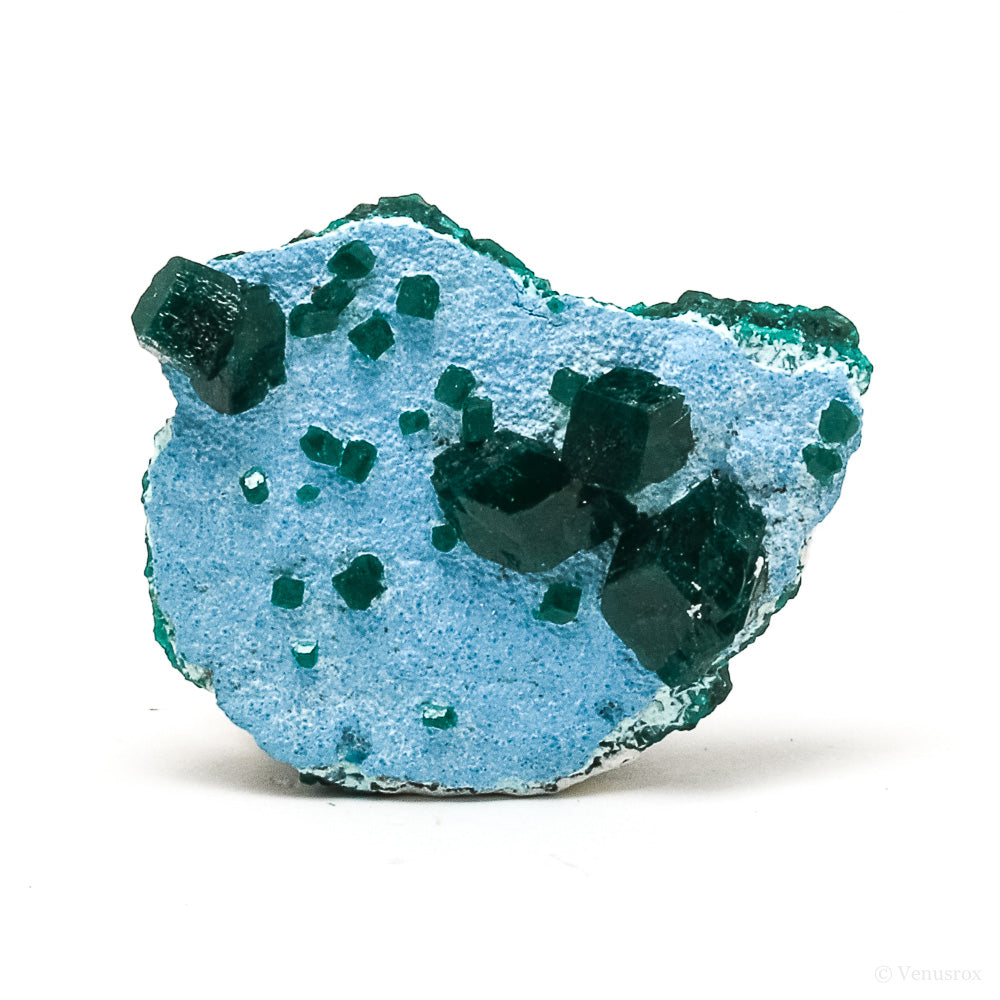 Dioptase with Shattuckite Natural Cluster from Kolwesi, Katanga Province, Democratic Republic of the Congo | Venusrox