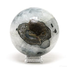 Amethyst with Agate & Chromium Geode Sphere  | Venusrox