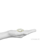 Ocean Jasper Polished Crystal from Madagascar | Venusrox