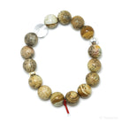 Picture Jasper Bead Bracelet from China | Venusrox