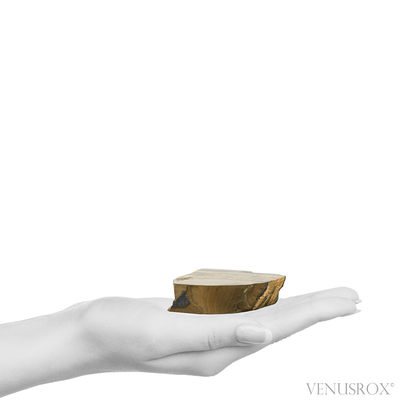 Tigers Eye with Hematite Part Polished/Part Natural Crystal from South Africa | Venusrox