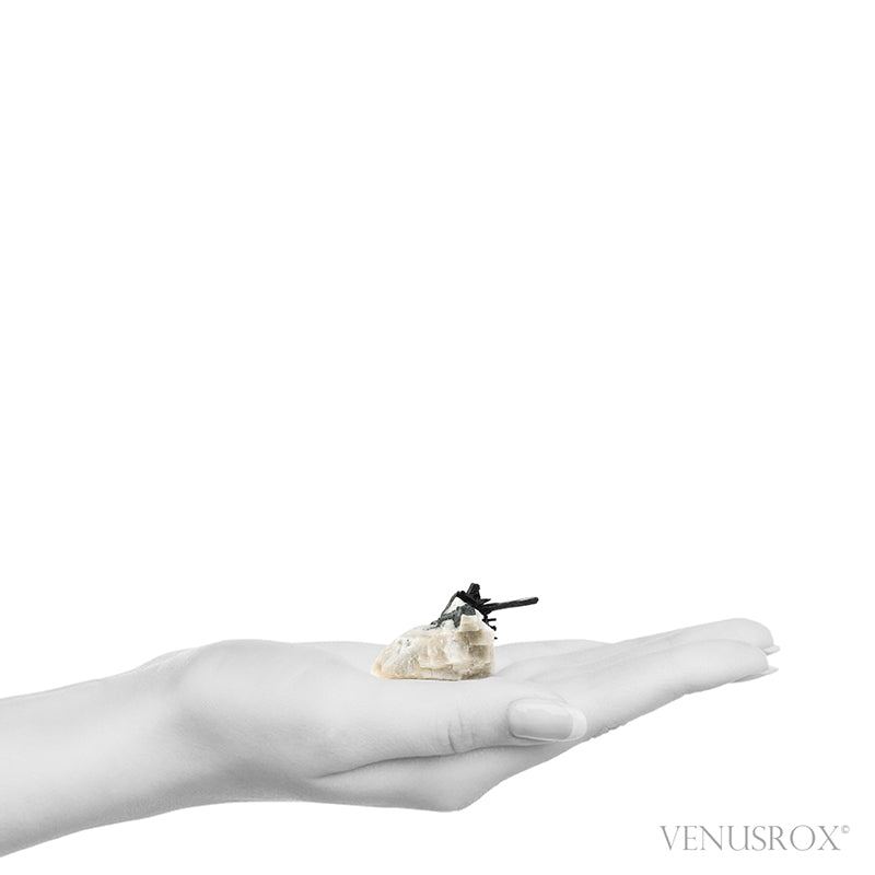 Aegirine with Feldspar Natural Cluster from Mount Malosa, Zomba District, Malawi | Venusrox