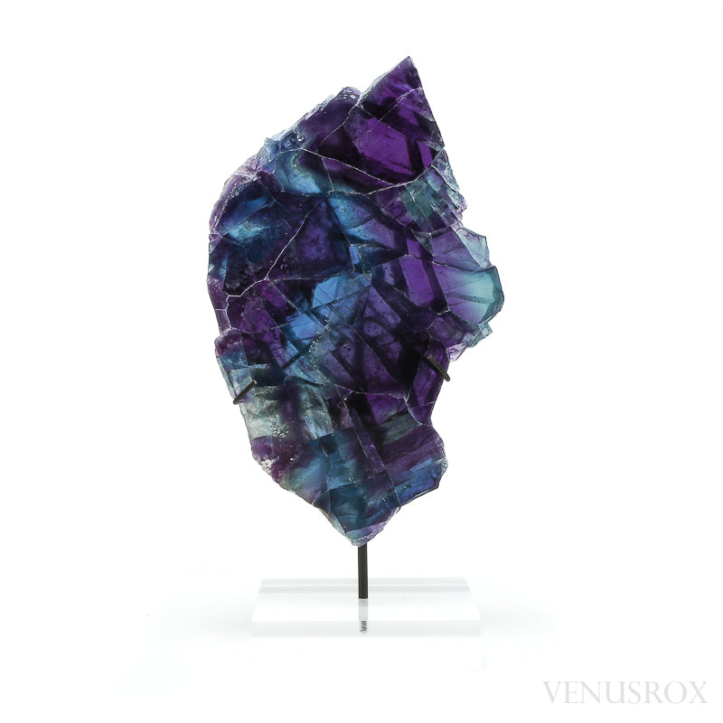Fluorite Part Polished/Part Natural Slice from Mexico, mounted on a bespoke stand | Venusrox