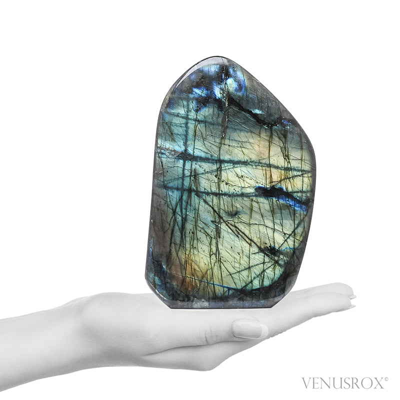 Labradorite Polished Freeform from Madagascar | Venusrox