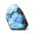 Labradorite Polished Freeform from Madagascar | Venusrox