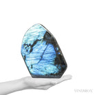 Labradorite Polished Freeform from Madagascar | Venusrox