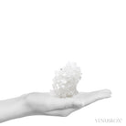 Apophyllite Natural Cluster from Maharashtra, India | Venusrox