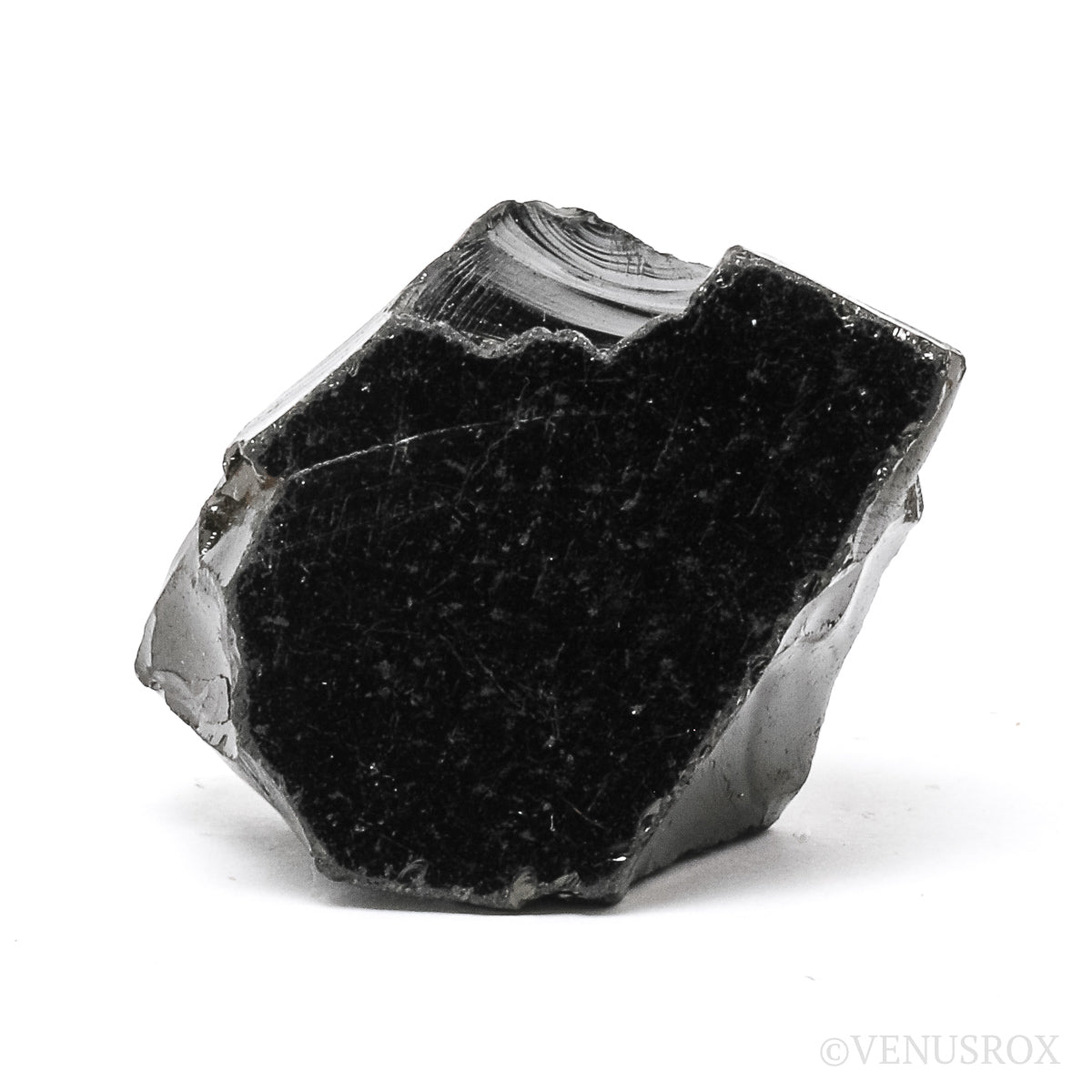Elite Shungite from Shunga, Karelia, Russia | Venusrox