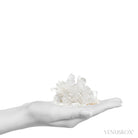 Himalayan Quartz on Matrix Natural Cluster from the Meru Peak Foot Hills, Garhwal, Uttarakhand, Indian Himalayas | Venusrox