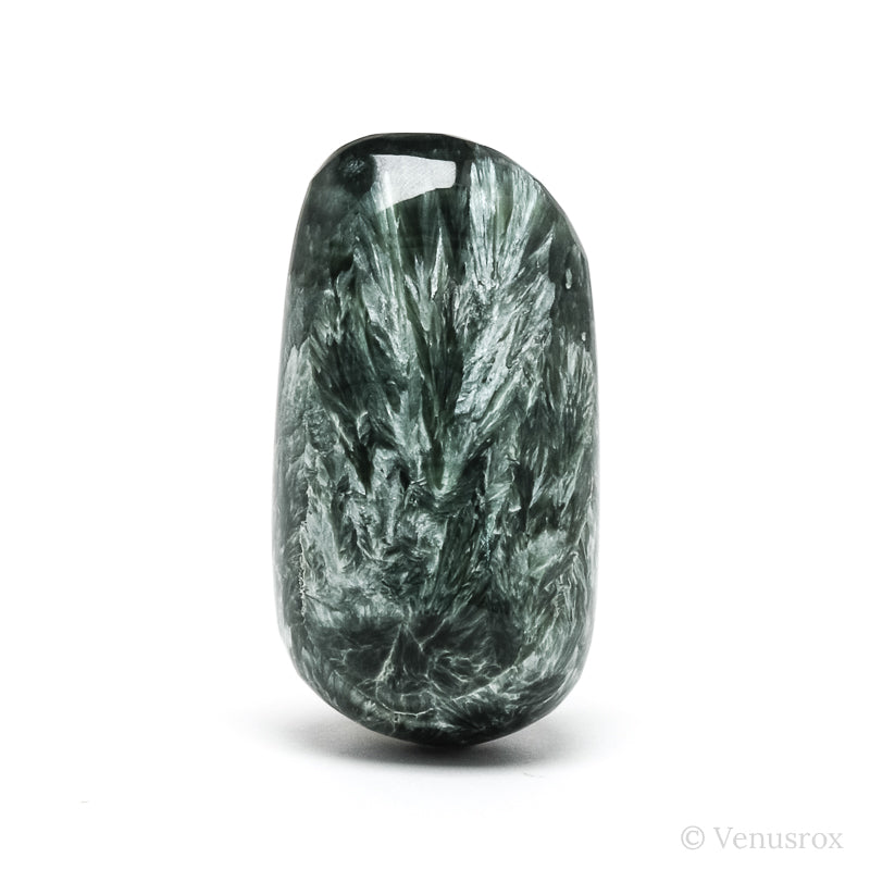 Seraphinite Polished Crystal from the Korshunovskoye Iron Scary Deposit, Irkutskaya Oblast, Siberia, Russia | Venusrox