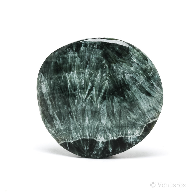 Seraphinite Polished Crystal from the Korshunovskoye Iron Scary Deposit, Irkutskaya Oblast, Siberia, Russia | Venusrox