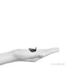 Shungite from Shunga, Karelia, Russia | Venusrox