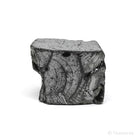 Shungite from Shunga, Karelia, Russia | Venusrox