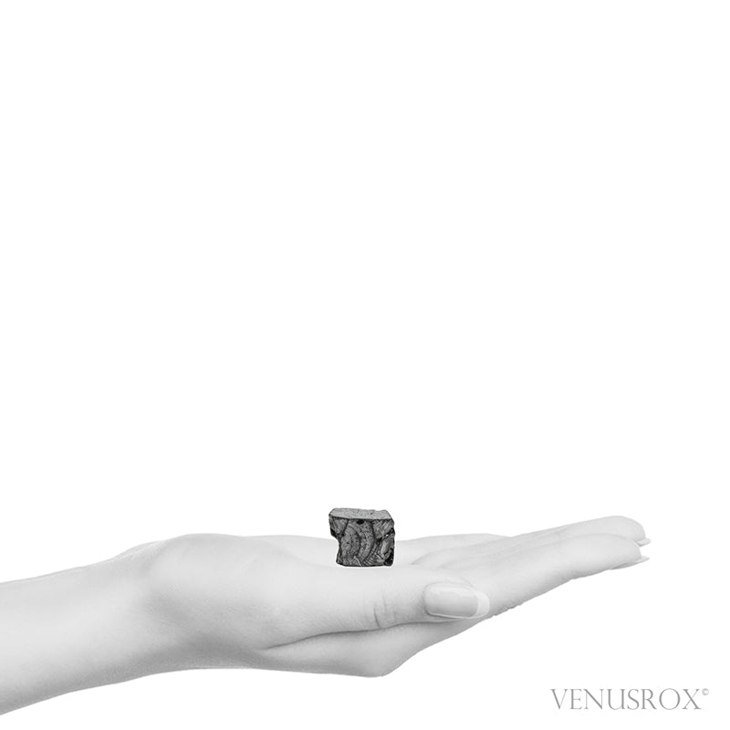 Shungite from Shunga, Karelia, Russia | Venusrox