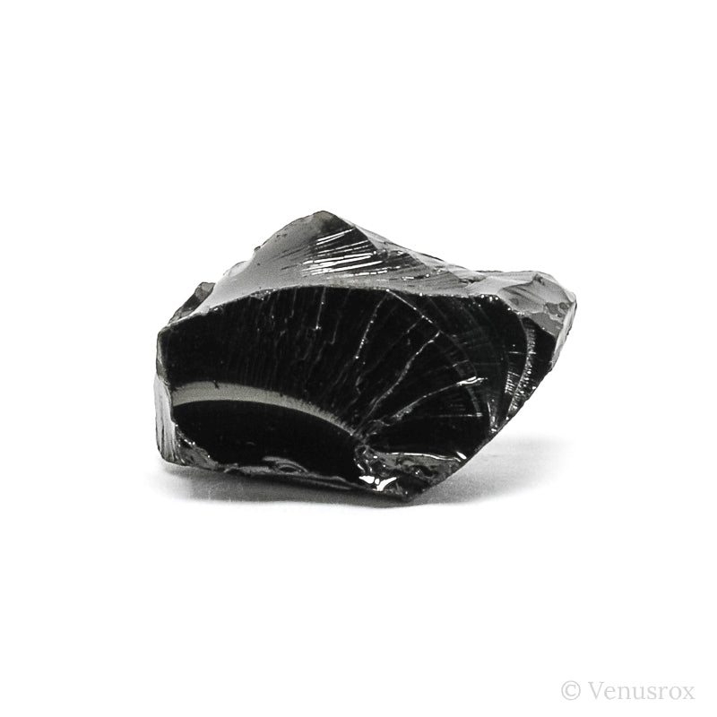 Elite Shungite from Shunga, Karelia, Russia | Venusrox