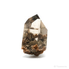 Silver Rutilated/Lodalite/Smoky Quartz Part Polished/Part Natural Point from Brazil | Venusrox
