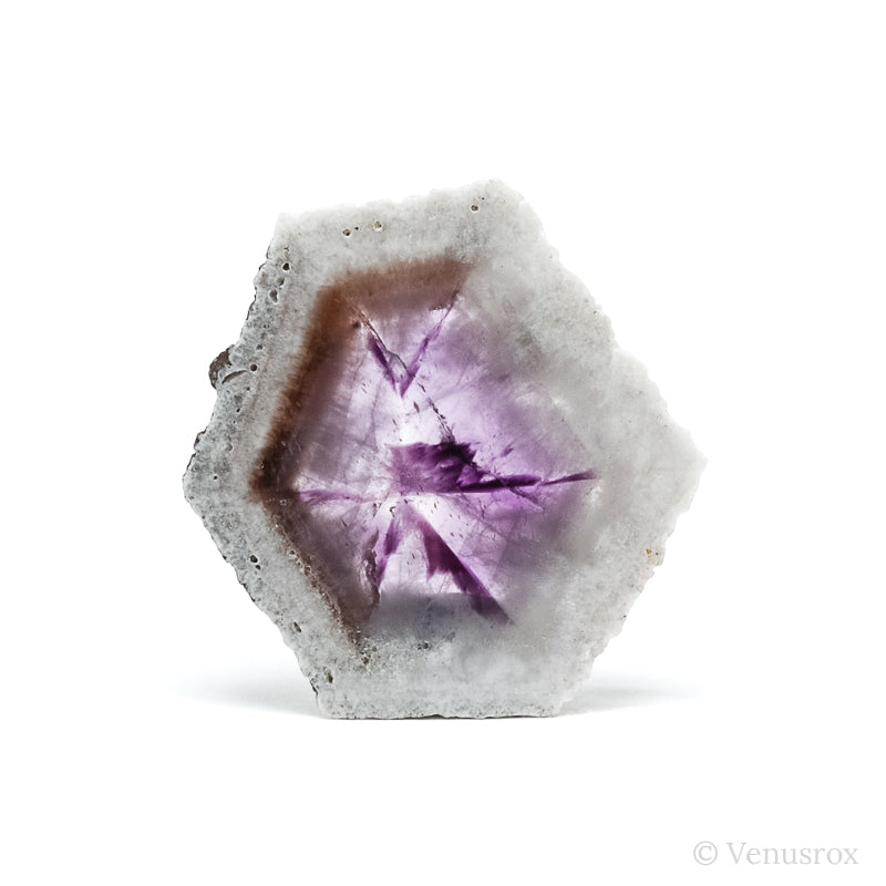 Amethyst Trapiche Polished/Natural Crystal from Rondônia, Brazil | Venusrox