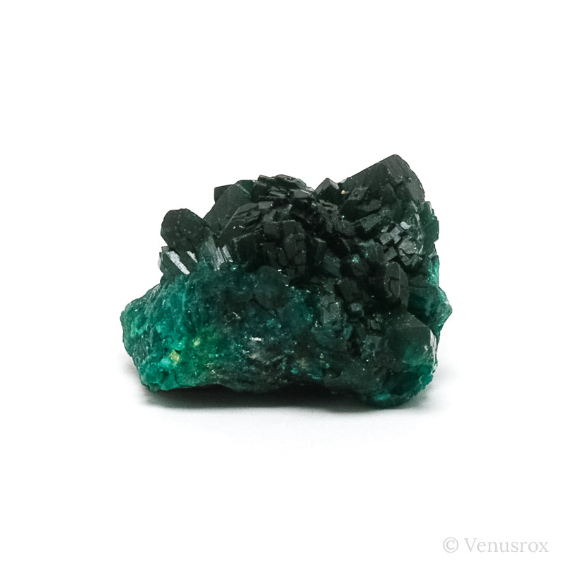 Dioptase Natural Cluster from Renéville, Kindanba District, Pool Department, Demacratic Republic of the Congo | Venusrox