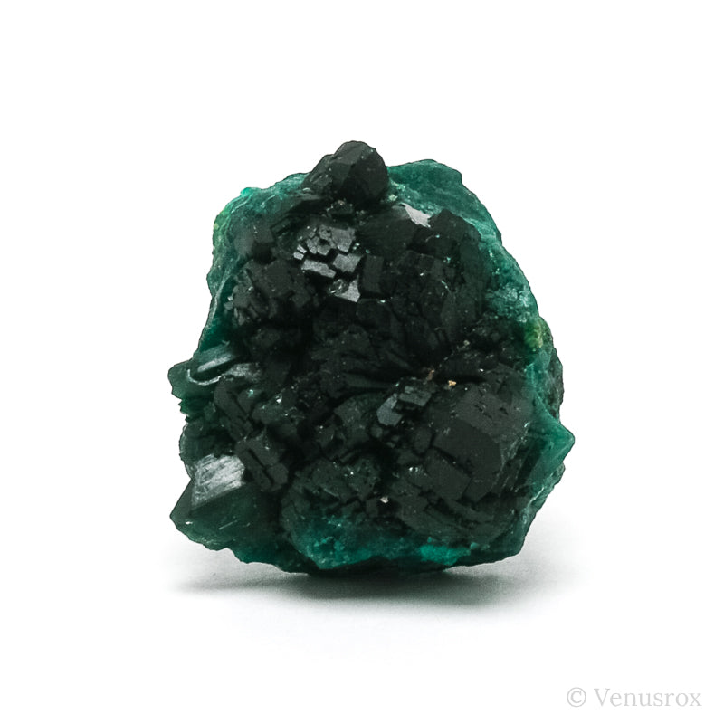 Dioptase Natural Cluster from Renéville, Kindanba District, Pool Department, Demacratic Republic of the Congo | Venusrox