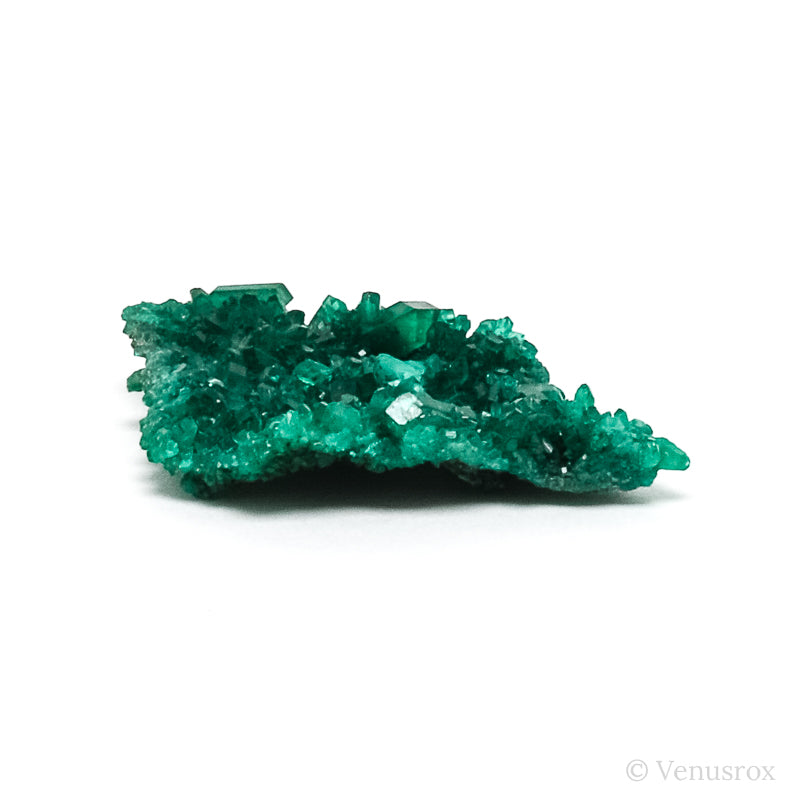 Dioptase Natural Cluster from Renéville, Kindanba District, Pool Department, Demacratic Republic of the Congo | Venusrox